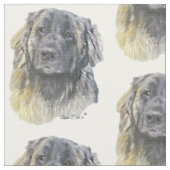 Leonberger Stof (Close Up)