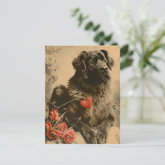Leonberger Valentijnsdag  Briefkaart (Staand voorkant)