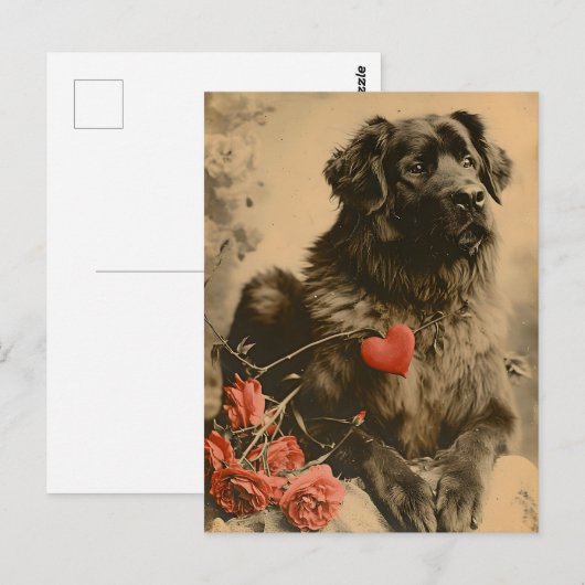 Leonberger Valentijnsdag  Briefkaart (Voorkant / Achterkant)