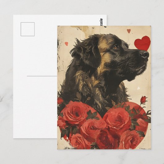 Leonberger  Valentijnsdag Briefkaart (Voorkant / Achterkant)