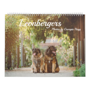 Leonbergers Kalender