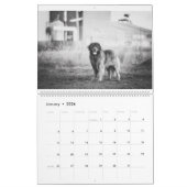 Leonbergers Kalender (Jan 2026)