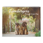 Leonbergers Kalender (Hoes)
