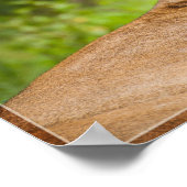 Leonen 2 poster (Hoek)