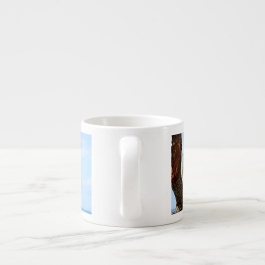 Leoness Espresso Kop (Achterkant)