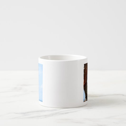 Leoness Espresso Kop (Voorkant)