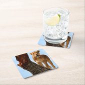 Leoness Kartonnen Onderzetters (Insitu)