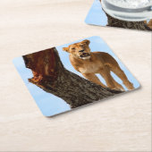 Leoness Kartonnen Onderzetters (Schuin)