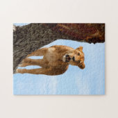 Leoness Legpuzzel (Horizontaal)