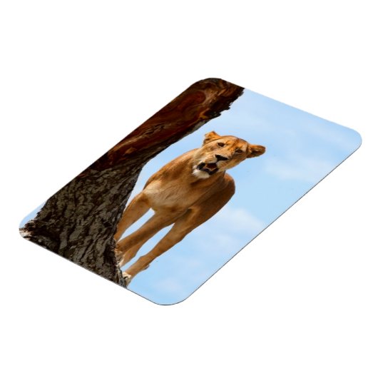 Leoness Magneet (Linkerzijde)