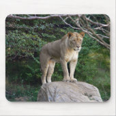 Leoness Muismat (Voorkant)