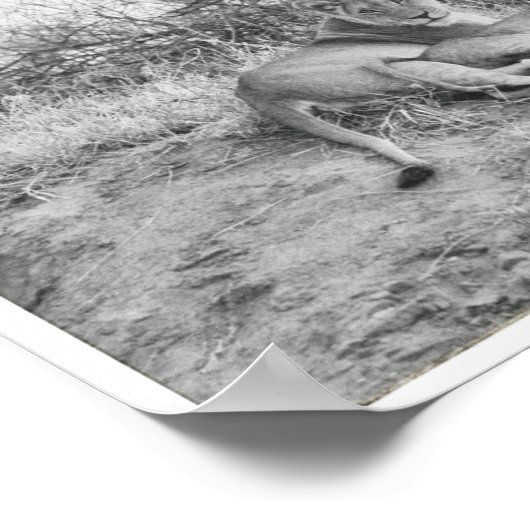 Leoness Poster (Hoek)