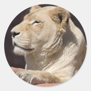 Leoness Ronde Sticker