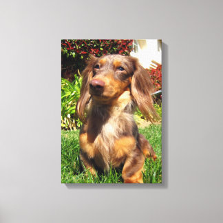 Leonidas Canvas Afdruk