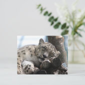 Leopard 002 briefkaart (Staand voorkant)