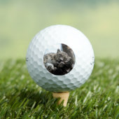 Leopard 002 golfballen (Insitu Shirt)