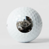 Leopard 002 golfballen (Voorkant)