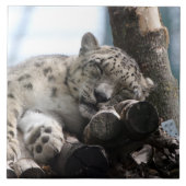 Leopard 002 tegeltje (Voorkant)