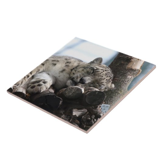 Leopard 002 tegeltje (Zijkant)