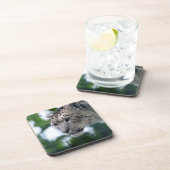 Leopard 003 bier onderzetter (Rechterzijde)