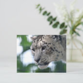Leopard 003 briefkaart (Staand voorkant)