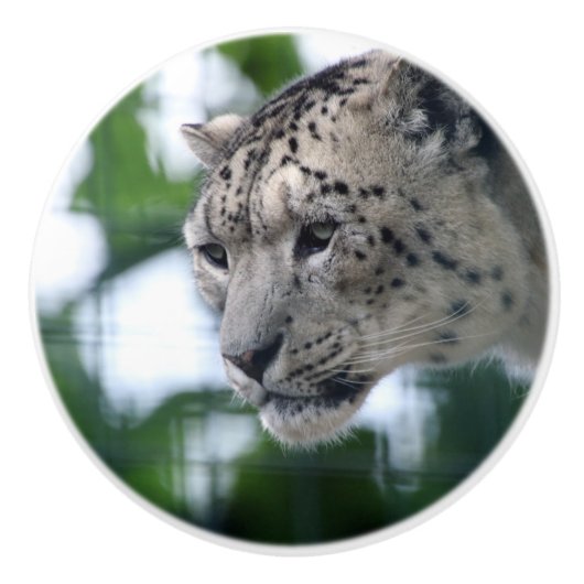 Leopard 003 keramische knop (Voorkant)