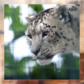 Leopard 003 raamsticker (Vel 2)
