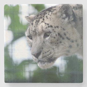 Leopard 003 stenen onderzetter
