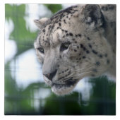 Leopard 003 tegeltje (Voorkant)