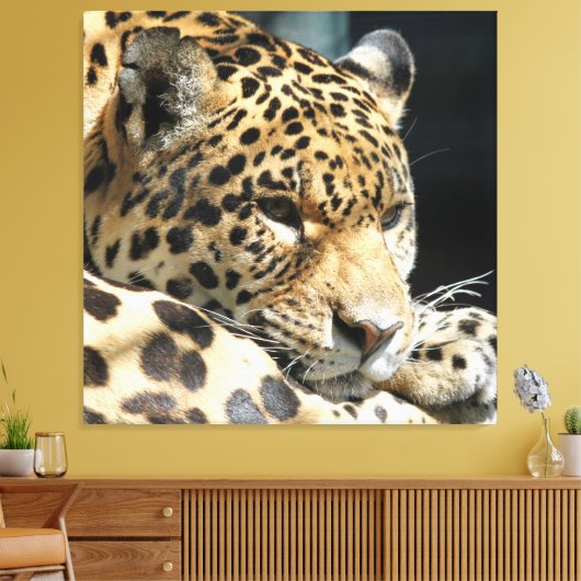 Leopard 004 canvas afdruk (Insitu (Woonkamer))