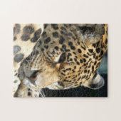 Leopard 004 legpuzzel (Horizontaal)