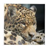 Leopard 004 tegeltje (Voorkant)