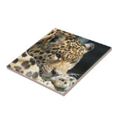 Leopard 004 tegeltje (Zijkant)