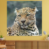 Leopard 006 canvas afdruk (Insitu (Woonkamer))