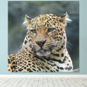 Leopard 006 canvas afdruk (Insitu (Houten vloer))