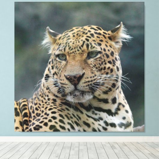 Leopard 006 canvas afdruk (Insitu (Houten vloer))