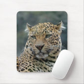 Leopard 006 muismat (Met muis)
