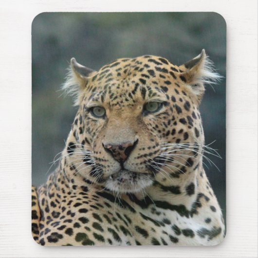Leopard 006 muismat (Voorkant)