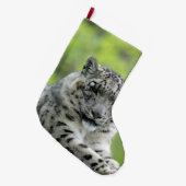 Leopard_2015_0310 Grote Kerstsok (Voorkant (Hangend))