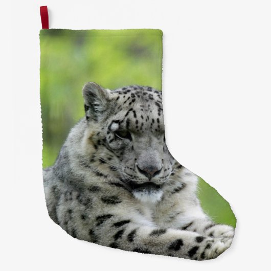 Leopard_2015_0310 Grote Kerstsok (Voorkant)