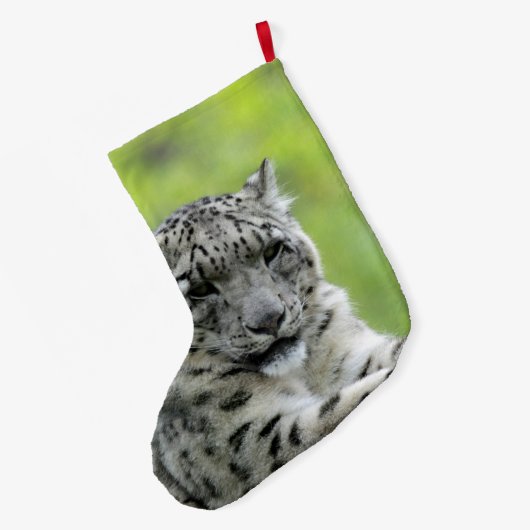 Leopard_2015_0310 Grote Kerstsok (Achterkant (Hangend))