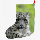 Leopard_2015_0310 Grote Kerstsok (Achterkant)
