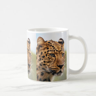 Leopard 3 Mokken