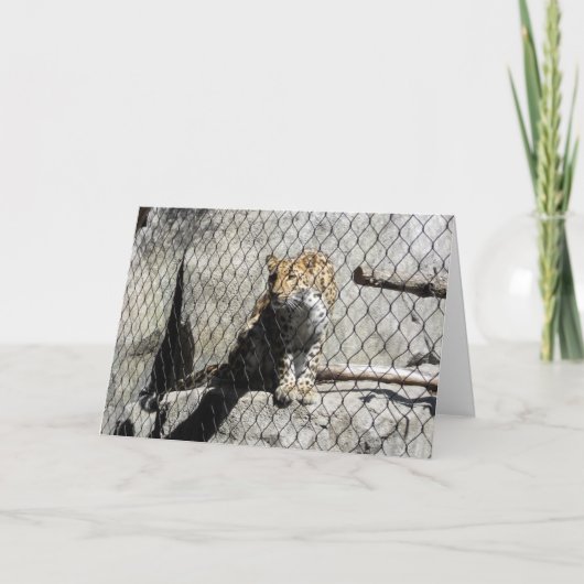 "Leopard #4" Get Well Card Kaart (Voorkant)