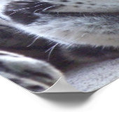 Leopard-Afbeelding afdrukken Poster (Hoek)