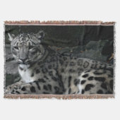 Leopard Afbeelding Blanket Deken (Voorkant)