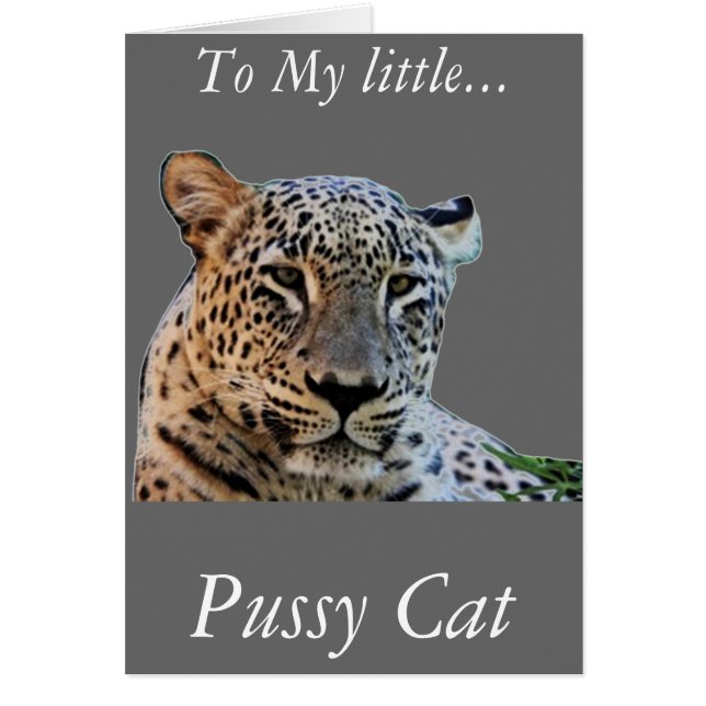 Leopard afdrukken (Voorkant)