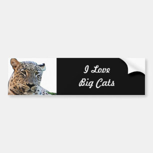 Leopard afdrukken bumpersticker
