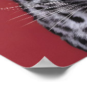 Leopard Animal Face in de stijl van de film. Poster (Hoek)