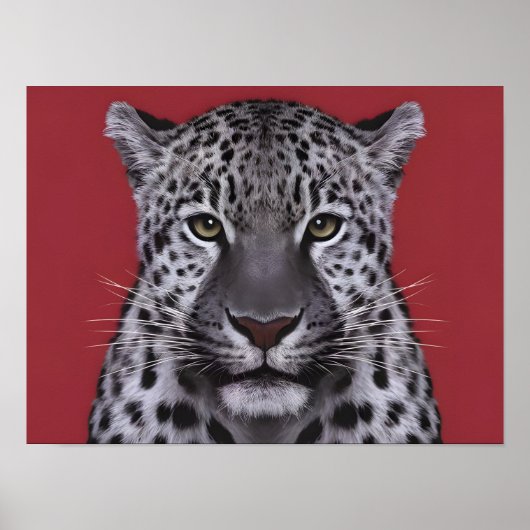 Leopard Animal Face in de stijl van de film. Poster (Voorkant)